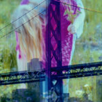 4 Mary Picks Flowers Bay Bridge