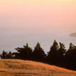 Back Cover Mt. Tam Sunset Meditator Flopped