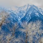 2016 Web California Trip_0125