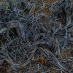 2016 Web California Trip_0144