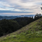 2016 Web California Trip_0207