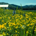 Sierraville Fixes3004