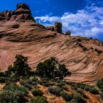 Western Painted Fixes503